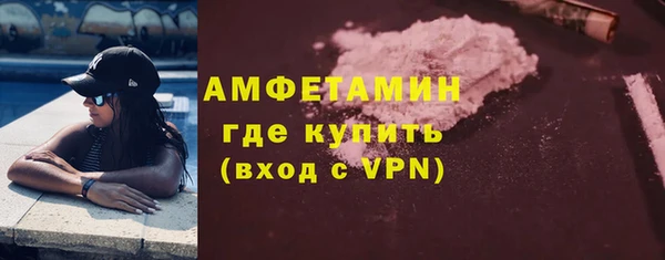 мдпв Богданович