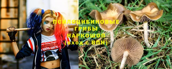 каннабис Богородицк