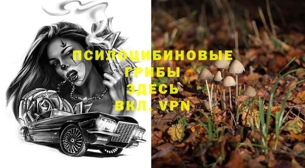 кокс Белокуриха