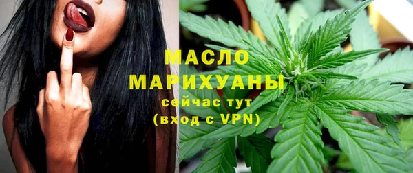 мдпв Богданович