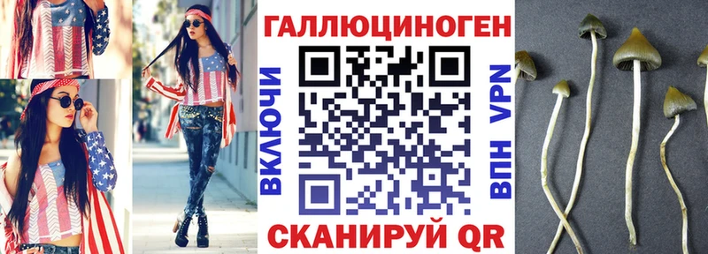 Псилоцибиновые грибы ЛСД  omg ссылки  Боготол  продажа наркотиков 